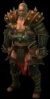 Barbarian - Paragon level 100