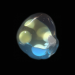 Path of Exile 20 Path of Exile Glassblower's Bauble