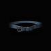 Path of Exile Bisco's Leash - Random