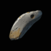 Path of Exile 5000 Path of Exile Blacksmith's Whetstone