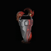 Path of Exile Kiara's Determination - Random