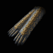 Path of Exile Replica Kalisa's Grace 4-Linked